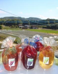 ぶどうジュレ(3個入り)