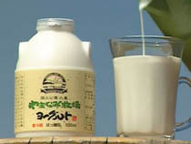 高原のさわやか飲むヨーグルト　150ml×12