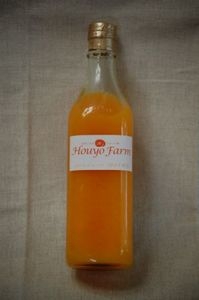 ほっとみかんジュース(生姜、ハチミツ入り)