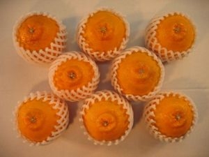 温デコ（おんでこ）