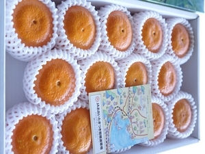 ハウスアンコール