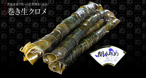 クロメカンパニー株式会社|巻き生クロメ (佐賀関産) クロメカンパニー株式会社|巻き生クロメ (佐賀関産)