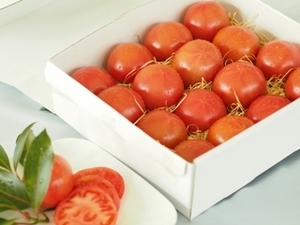 塩熟トマト　糖度8　白箱入り 1.0kg