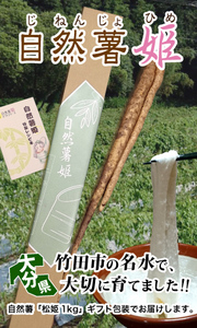 自然薯姫 松姫(2kg)