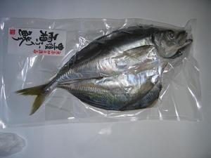 豊後霜降り鯵